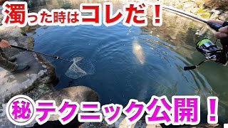 食渋りの甲斐サーモンが釣れるメソッド⁉︎ルアー選択が釣果を左右する