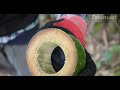 review ใบเลื่อยชักตัดไม้ไผ่ zet saw bamboo harvesting ใช้ร่วมกับเลื่อยชักทั่วไปได้ ทุกรุ่น ทุกยี่ห้อ