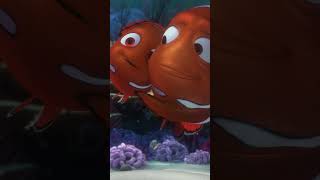Nemo forgets something #findingnemo