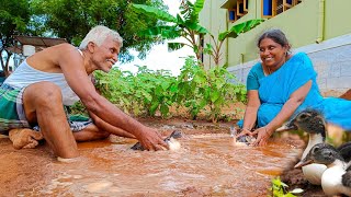 குட்டை வெட்டி வாத்து விடப்போறோம்! நம்ம தோட்டத்துக்குள்ள❤️| We Makes New Pond in Garden for Our Ducks