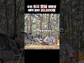 일요일 퇴실은 오후 3시 👍👍👍 camping 캠핑장추천