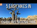 5 Easy Hikes in Joshua Tree National Park 4K \\ Vlog 10