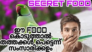 what to feed parrots to talk malayalam | ഈ FOOD കൊടുത്താൽ ഏത് തത്തയും സംസാരിക്കഉം#parrotmalayalam