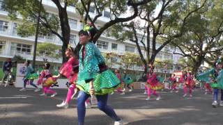 Yosakoi Festival 2016,  ダイヤモンドダイニングよさこいチーム　よさこい祭り (4k) 高知市