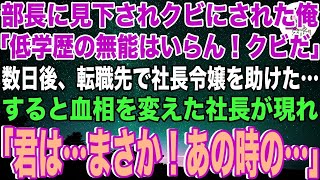 【スカッと】会社のほぼ全ての売上に貢献した俺を突然クビにした高学歴女部長「低学歴の無能はこの会社には必要ないw」全社員（この会社はお終いだ…）→後日とんでもないことに気づいた女部長は…