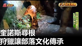 奎諾斯尋根 狩獵讓部落文化傳承 |【民生八方事】| 2023072709 @gtvnews27