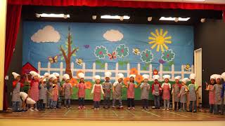 Stratford Pre-K Cook performance