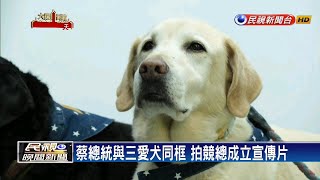 蔡總統與三愛犬同框 拍競總成立宣傳片－民視新聞