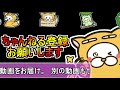 【アプリ】未定事件簿 sr 和泉景「子供じみた攻略心」 ストーリー　1～3 cv 石川界人