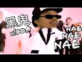 Nae Nibba Nae Nae - Ryder Nibba's K-Pop Song