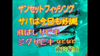 快適♪サンセットフィッシングでサバ好調♪　fishingmax芦屋