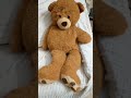 Teddy gusa h#teddy #teddybear #technology #scary #scared #scarystories #ghost #ghosts #shorts#viral