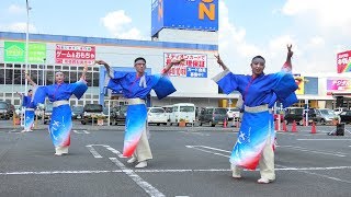 「よさこい踊り「さい」」ござれGO-SHU! 2019【アヤハプラザ】