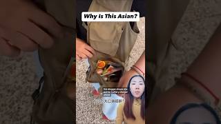 Is This Asian or Not? #asian #viralvideo #shortsvideo #relatable #korean