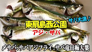 釣ったサバが１０倍うまい！となるサバ料理！サバフライとサバの竜田揚げ梅大葉巻き！絶品しめ鯖も作ってサバ・アジ三昧【東扇島西公園】