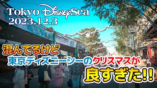 東京ディズニーシー 2023.12.3の様子 / Today’s Tokyo DisneySea on December 3rd 2023