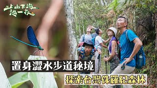 置身澀水步道秘境~探索台灣侏儸紀森林！！｜【上山下海過一夜】