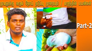 முயலுக்கு வரும் நோய் தடுப்பு முறையும் | மருந்தின் பயன்கள் Part - 2