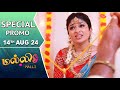 Malli Serial | Special Promo | 14th Aug 24 | Nikitha | Vijay | Saregama TV Shows Tamil