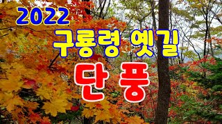 구룡령 옛길, 명승지 제29호 단풍을 즐기다