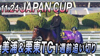 【11月24日 午後2時40分拡大放送！】ジャパンカップ 日本代表ドウデュースなど 1週前追い切り