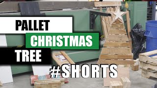 Making a Christmas Tree from a pallet #shorts