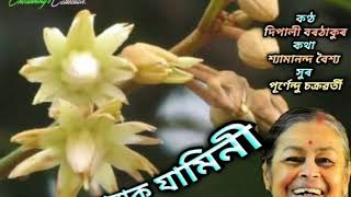 Bokul Bonot Jonak Jaamini (বকুল বনত জোনাক যামিনী) - by Dipali Borthakur