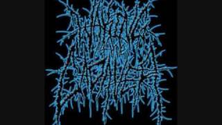 Waking The Cadaver - Blood Splattered Satisfaction