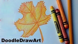 How To Draw A Beautiful Maple Leaf - Autumn Leaf - Easy Drawing Lesson - Thanksgiving - Fall