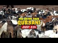 When Should You Give Qurbani?