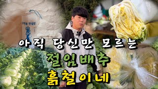 최고급 명품 절임배추 예약판매 20kg 1박스 40,000원 농가 직배송