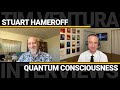 Stuart Hameroff - Quantum Consciousness