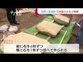 吉野ヶ里遺跡“謎エリア”墓の大きさが幅３６センチと判明、埋葬者は大柄ではない？