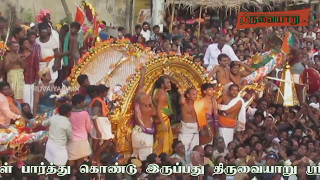 Thiruvaiyaru Sapthasthanam Bommai Poo Podum Kaatchi 2017 |  திருவையாறு சப்தஸ்தானம் விழா | ஐயாறப்பர்