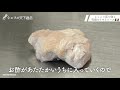 【永久保存版】しっとり鶏むね肉と究極のトマトソースの作り方【シェフの天下逸品】