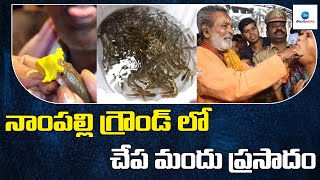 నాంపల్లి గ్రౌండ్ లో చేప మందు ప్రసాదం  | Fish Medicine Distribution At Nampally Exhibition Grounds