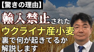 【驚きの理由】輸入禁止されたウクライナ産小麦 裏で何が起きてるか解説します