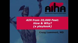 AIH A 20,000 Foot View and Playbook Dr  Craig Lammert AIHA 2017