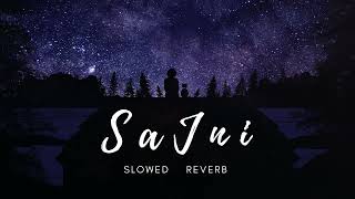 Sajni - Jalraj | Extended Version | Slowed + Reverb | Aesthetic Me