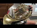 giardinelli gfh 300 series double horn regular for sale