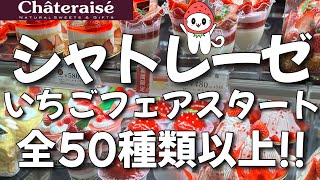 【シャトレーゼいちごフェア2024】全部で50種類以上の商品登場!!