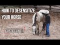 Desensitizing Your Horse: Episode Five