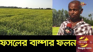 কুমিল্লায় কৃষি ফসলের বাম্পার ফলন