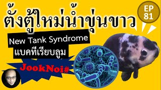 ปัญหาน้ำขุ่นขาว จากแบคทีเรียบลูม Bacteria Bloom หรือนิวแทงค์ซินโดรม New Tank Syndrome วิธีแก้ไข EP81