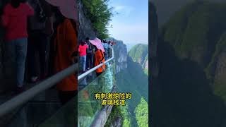 011 带父母孩子来一趟湖南那么这份半自由行旅游攻略送给