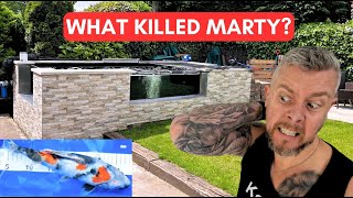 Marty My ISA Showa Koi Died 😳 But Why \u0026 What Have I Done? 🧐