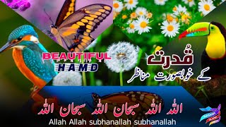 Most Heart Touching Hamd 2021 | Allahu Allah Subhanallah | New Beautiful Hamd | Hamde Sara Hai