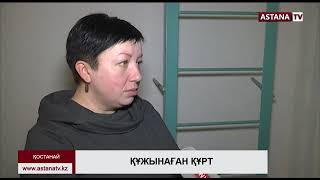 Қостанайдағы көпқабатты үйде құрт қаптап кетті