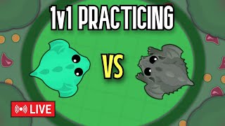 Mope.io Livestream // 1v1 PRACTICING WITH FANS // TAG: [B]