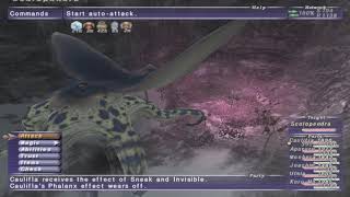 FFXI - Dynamis Qufim Clear Guide